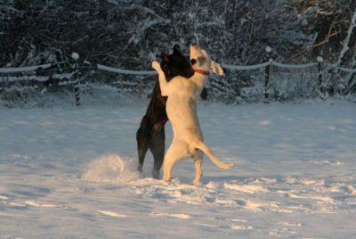 This is picture 1