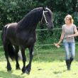 Enzo van de Hondshoeve (sterruin Olgert x Fetse)