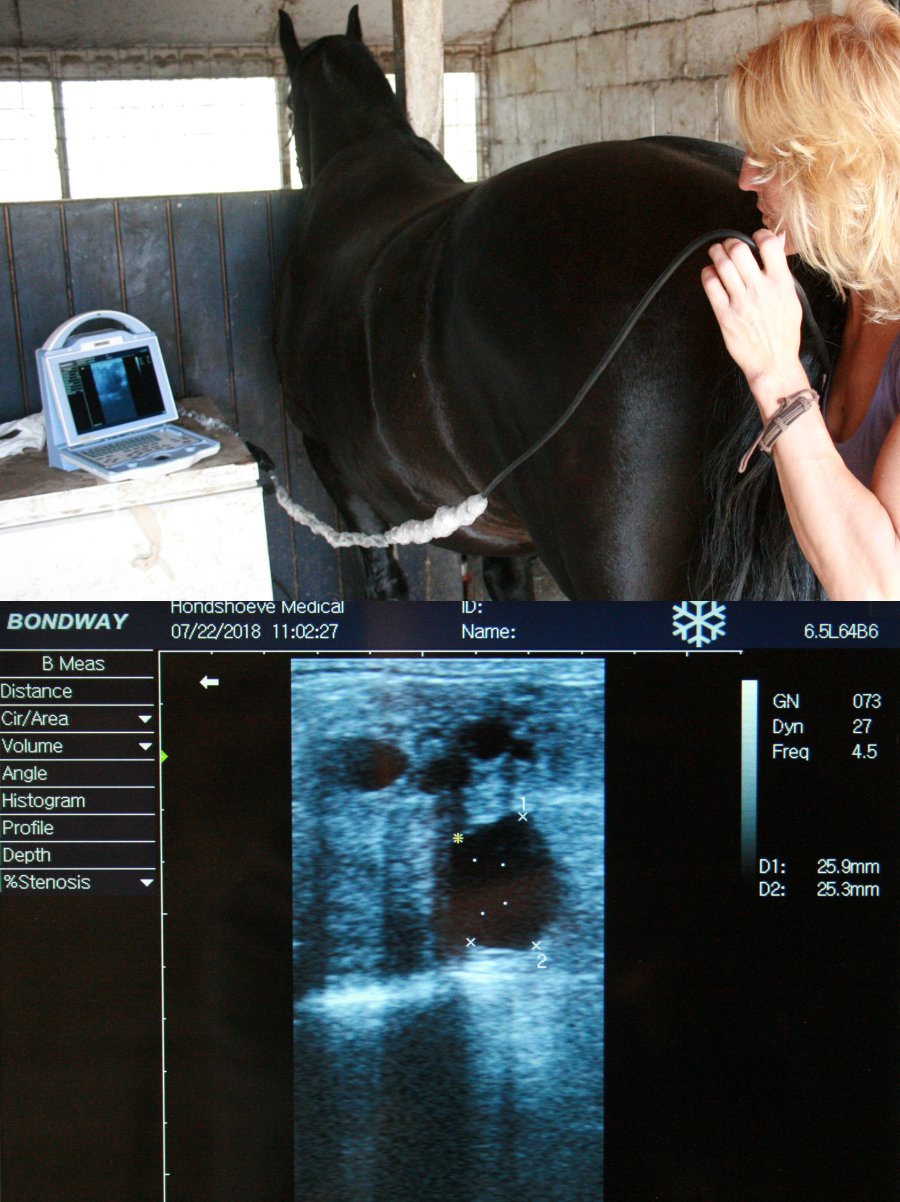 Laptop model scanner BW540V