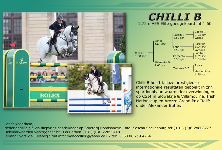 In 2026 zijn deze hengsten bij ons beschikbaar